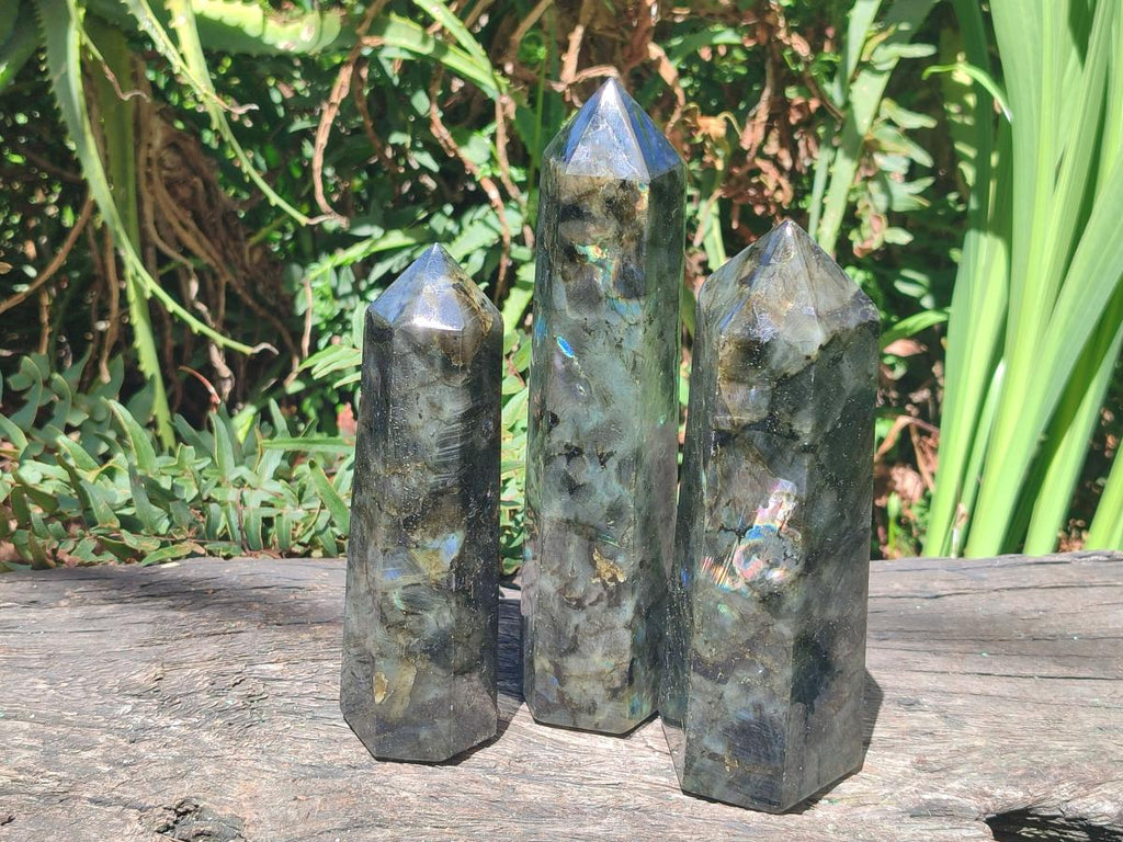 Polished Labradorite Display Crystals x 3 From Madagascar - Toprock Gemstones and Minerals 