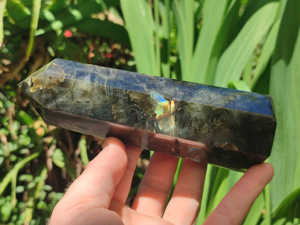 Polished Labradorite Display Crystals x 3 From Madagascar - Toprock Gemstones and Minerals 
