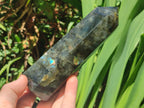 Polished Labradorite Display Crystals x 3 From Madagascar - Toprock Gemstones and Minerals 