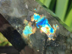 Polished Labradorite Display Crystals x 3 From Madagascar - Toprock Gemstones and Minerals 