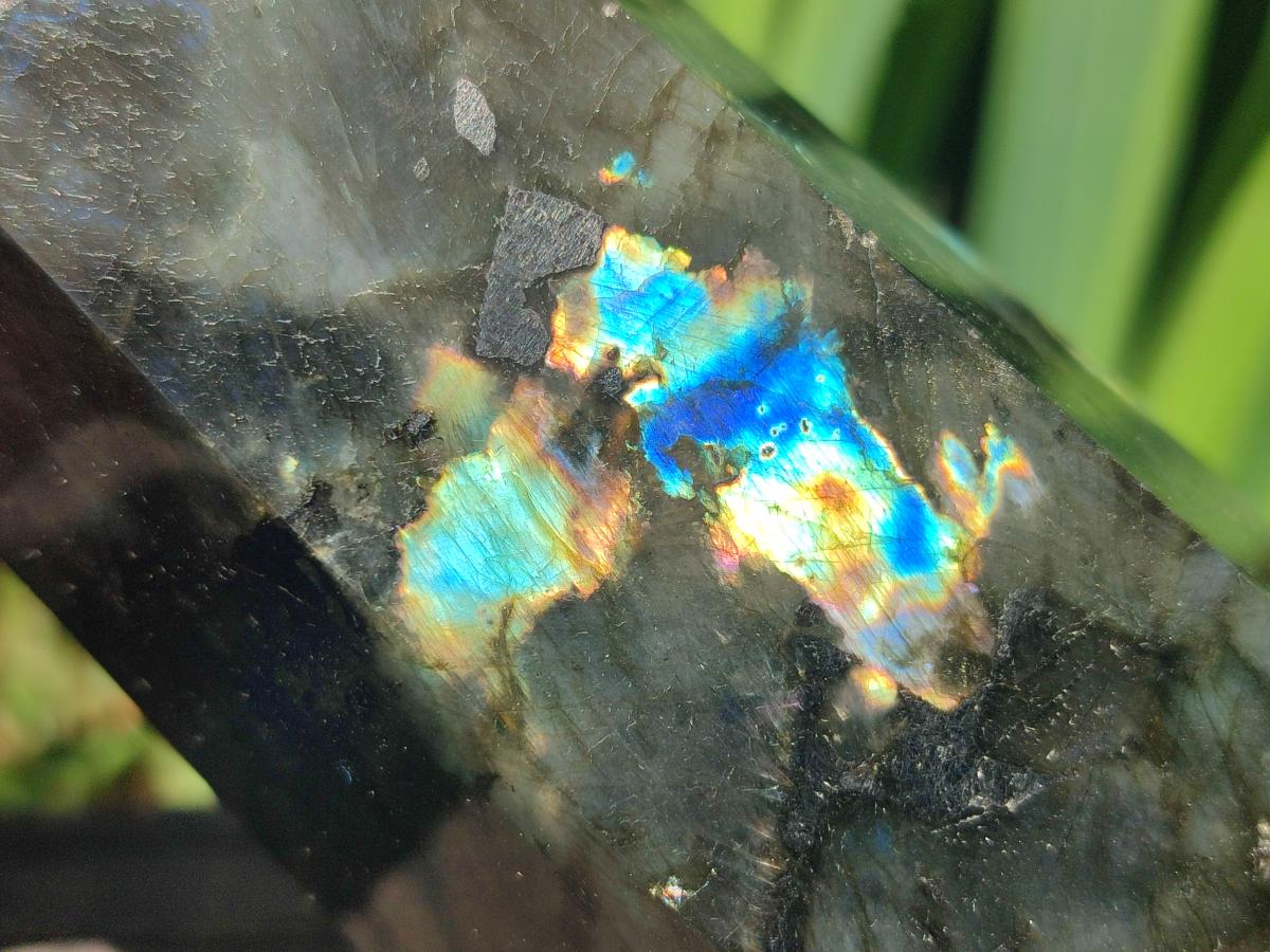 Polished Labradorite Display Crystals x 3 From Madagascar - Toprock Gemstones and Minerals 