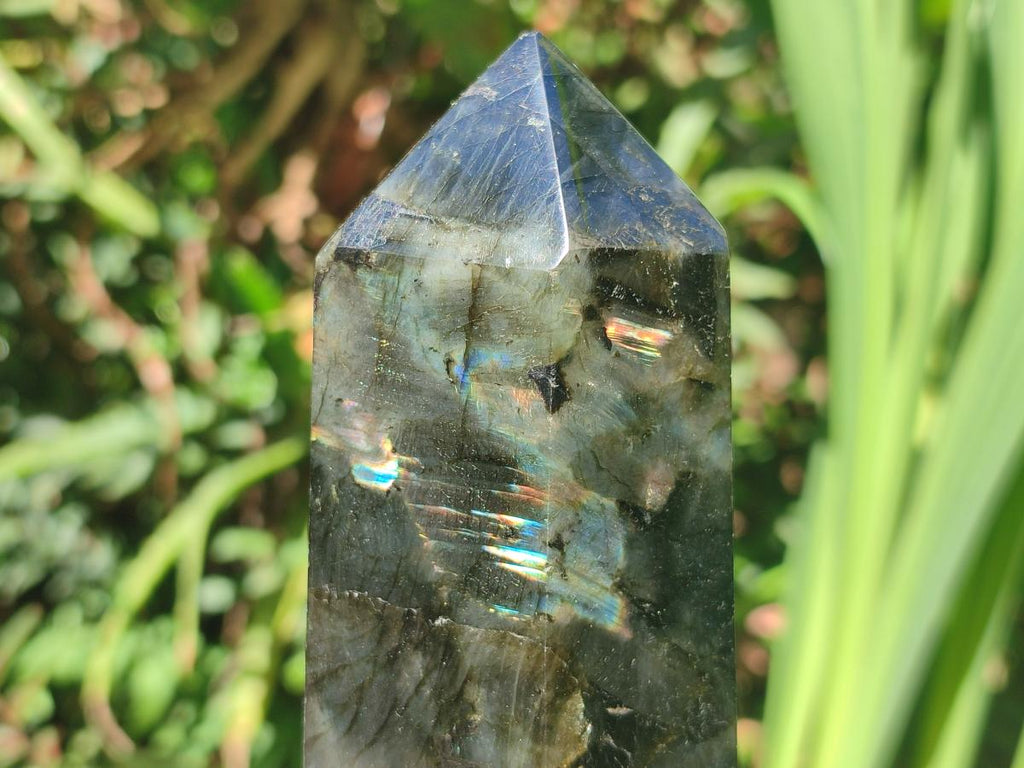 Polished Labradorite Display Crystals x 3 From Madagascar - Toprock Gemstones and Minerals 