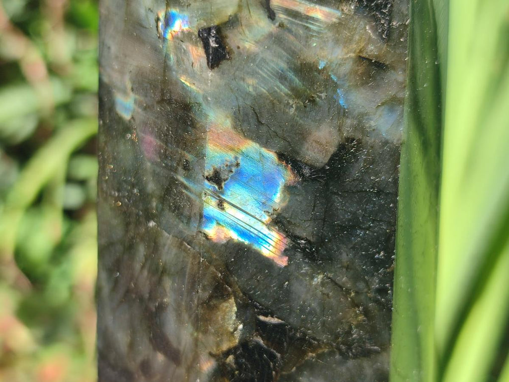 Polished Labradorite Display Crystals x 3 From Madagascar - Toprock Gemstones and Minerals 