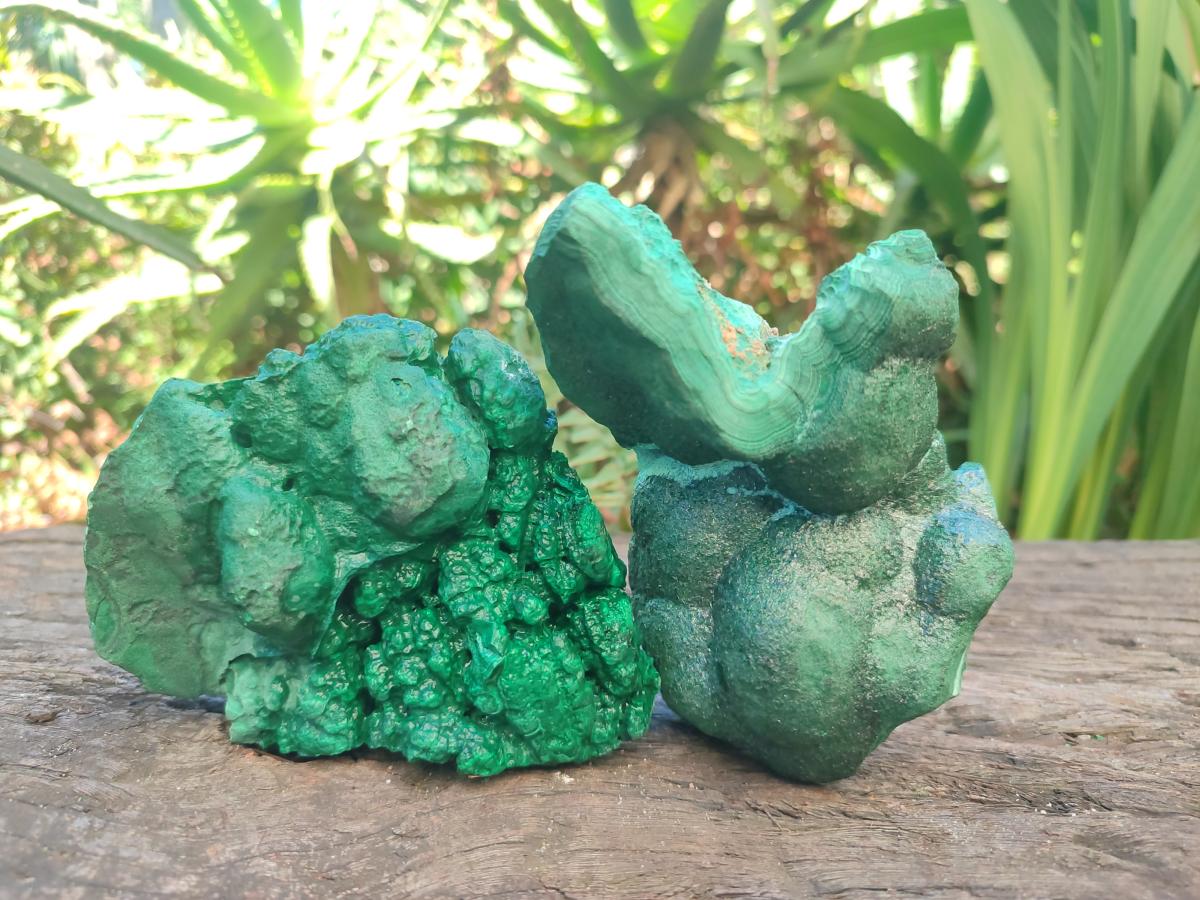 Natural Botryoidal Malachite Specimens x 2 From Congo - Toprock Gemstones and Minerals 