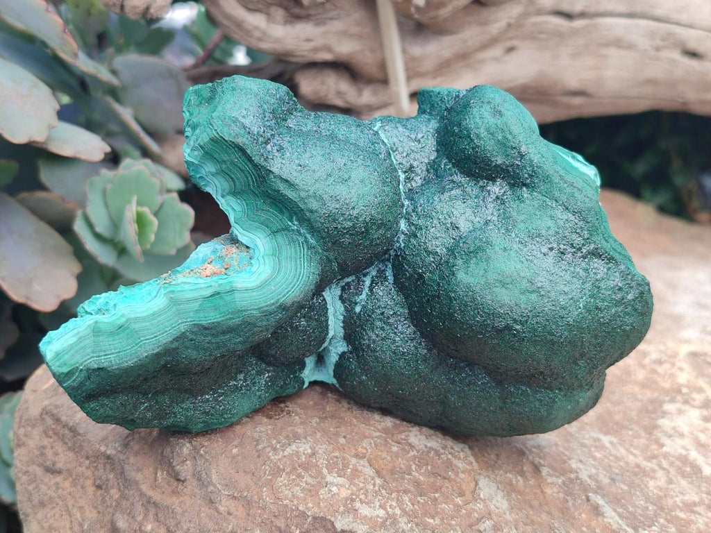 Natural Botryoidal Malachite Specimens x 2 From Congo - Toprock Gemstones and Minerals 