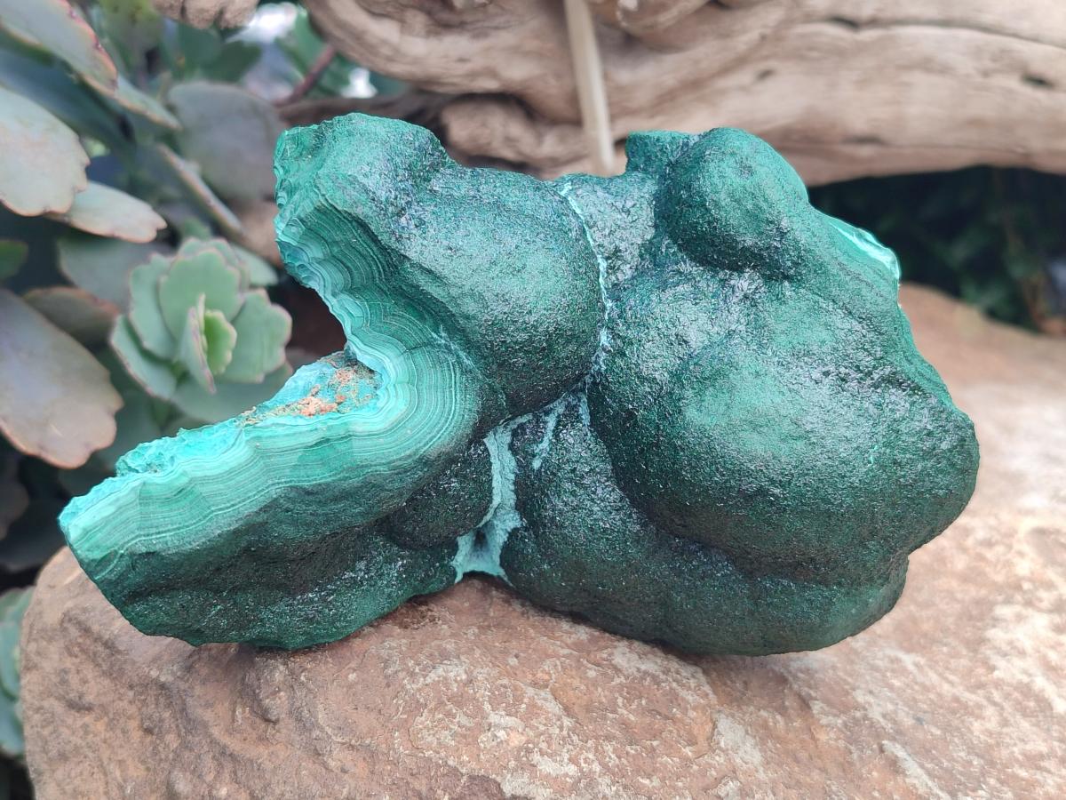 Natural Botryoidal Malachite Specimens x 2 From Congo - Toprock Gemstones and Minerals 