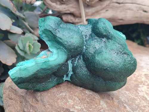 Natural Botryoidal Malachite Specimens x 2 From Congo - Toprock Gemstones and Minerals 