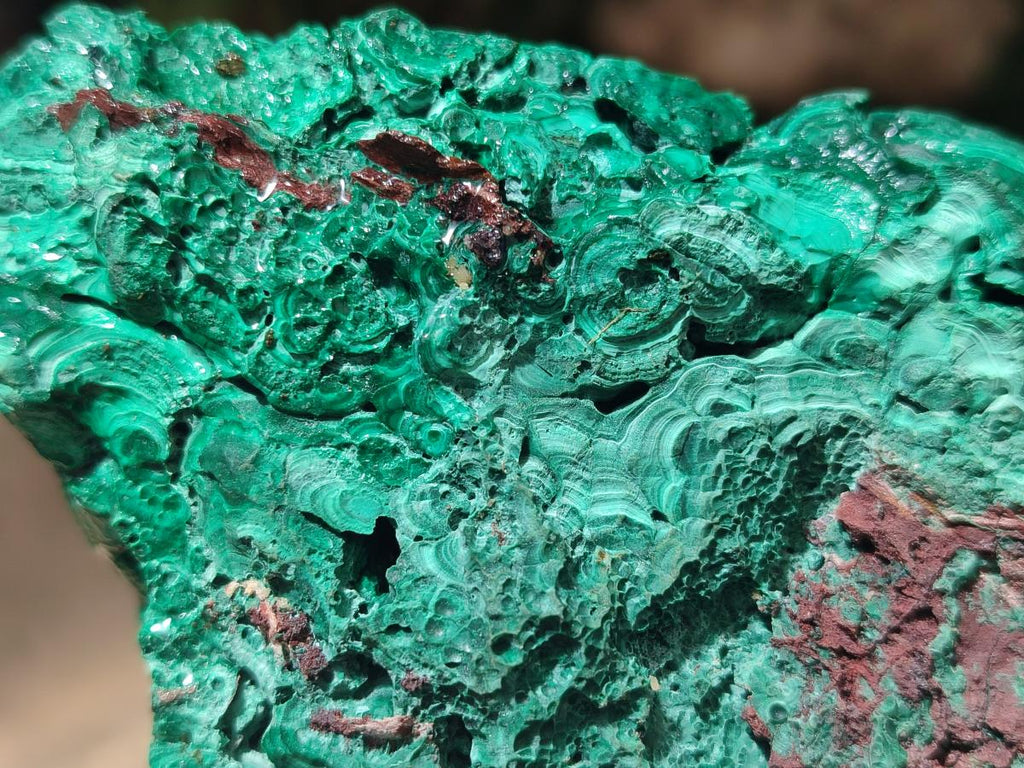 Natural Botryoidal Malachite Specimens x 2 From Congo - Toprock Gemstones and Minerals 