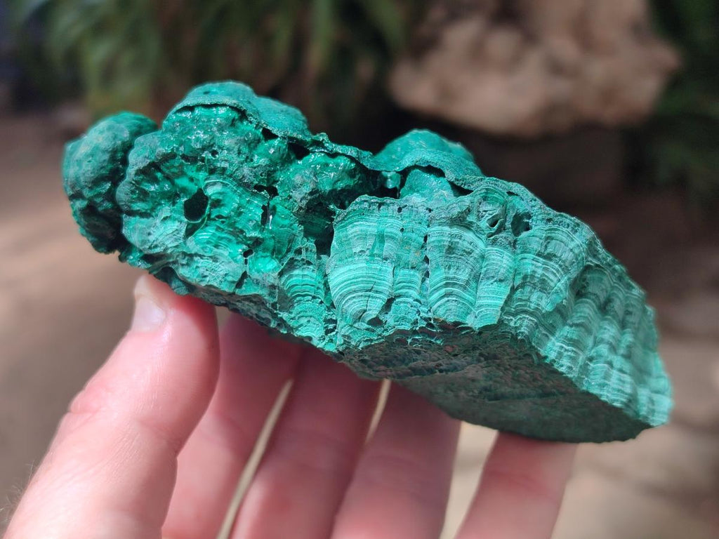 Natural Botryoidal Malachite Specimens x 2 From Congo - Toprock Gemstones and Minerals 