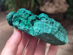 Natural Botryoidal Malachite Specimens x 2 From Congo - Toprock Gemstones and Minerals 