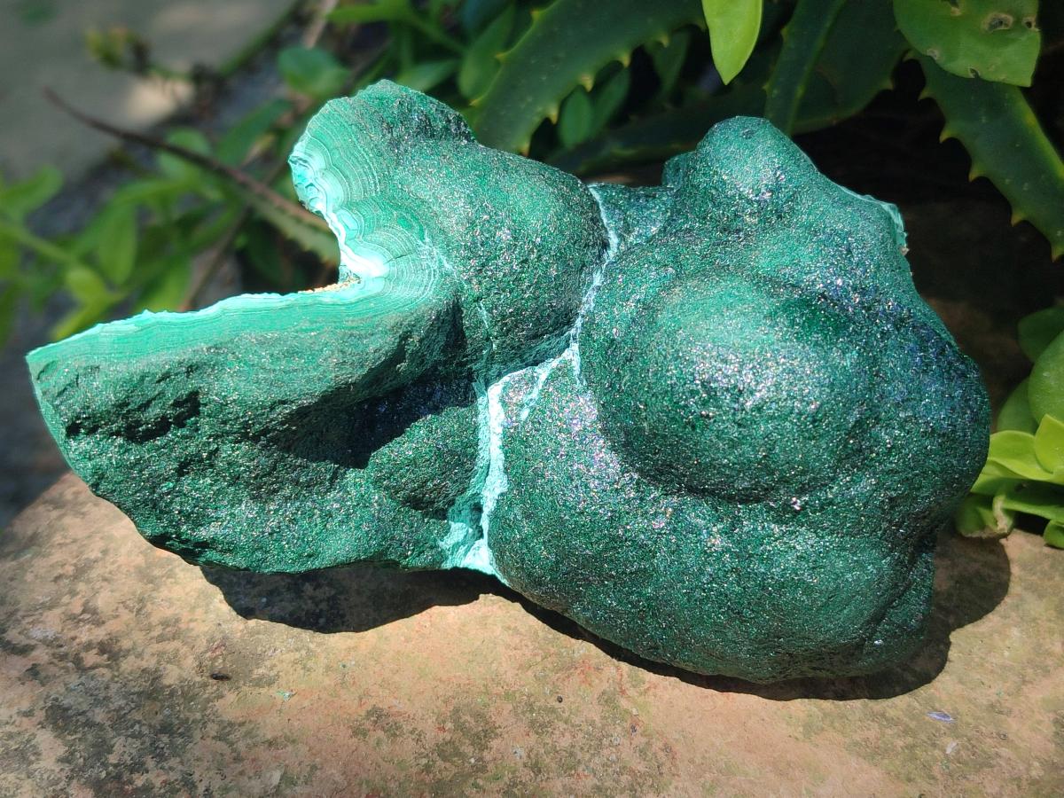 Natural Botryoidal Malachite Specimens x 2 From Congo - Toprock Gemstones and Minerals 