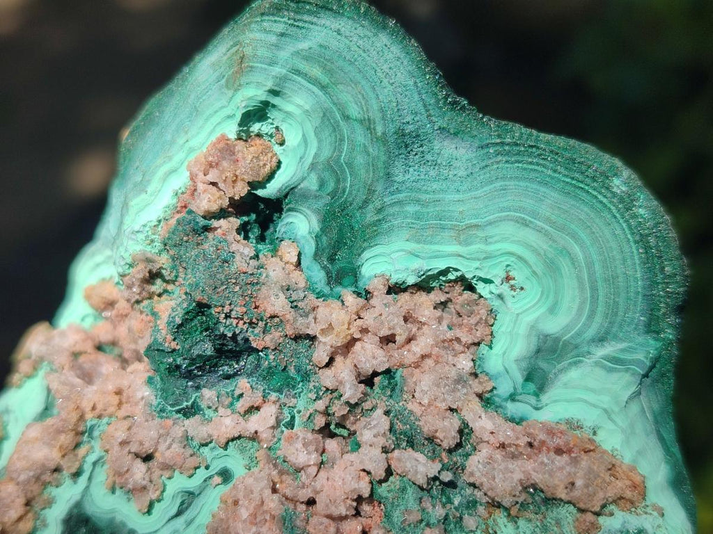 Natural Botryoidal Malachite Specimens x 2 From Congo - Toprock Gemstones and Minerals 