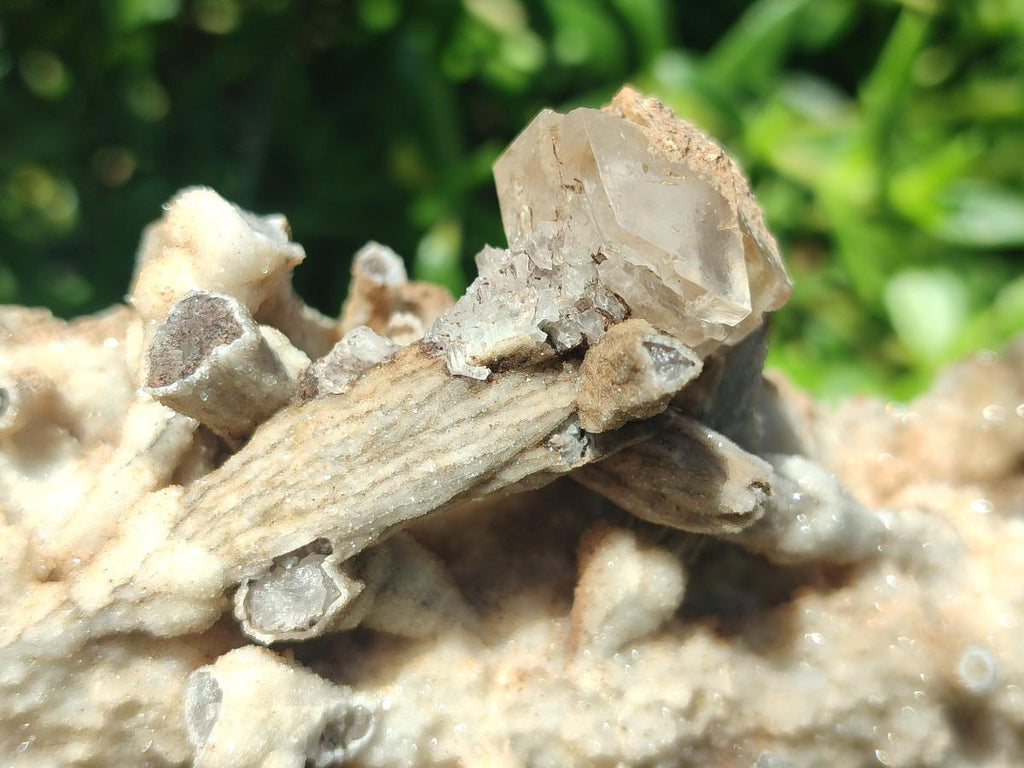 Natural Large Spearhead Calcite Specimen with Rhombohedral Calcite Crystals x 1 From Albert's Mountain, Lesotho - Toprock Gemstones and Minerals 