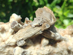 Natural Large Spearhead Calcite Specimen with Rhombohedral Calcite Crystals x 1 From Albert's Mountain, Lesotho - Toprock Gemstones and Minerals 