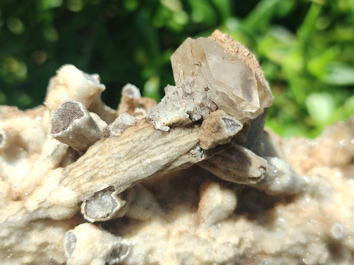 Natural Large Spearhead Calcite Specimen with Rhombohedral Calcite Crystals x 1 From Albert's Mountain, Lesotho - Toprock Gemstones and Minerals 