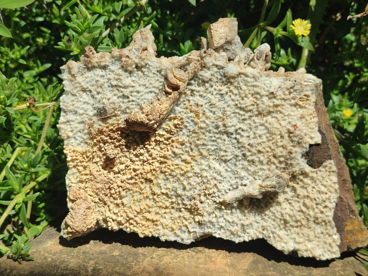 Natural Large Spearhead Calcite Specimen with Rhombohedral Calcite Crystals x 1 From Albert's Mountain, Lesotho - Toprock Gemstones and Minerals 