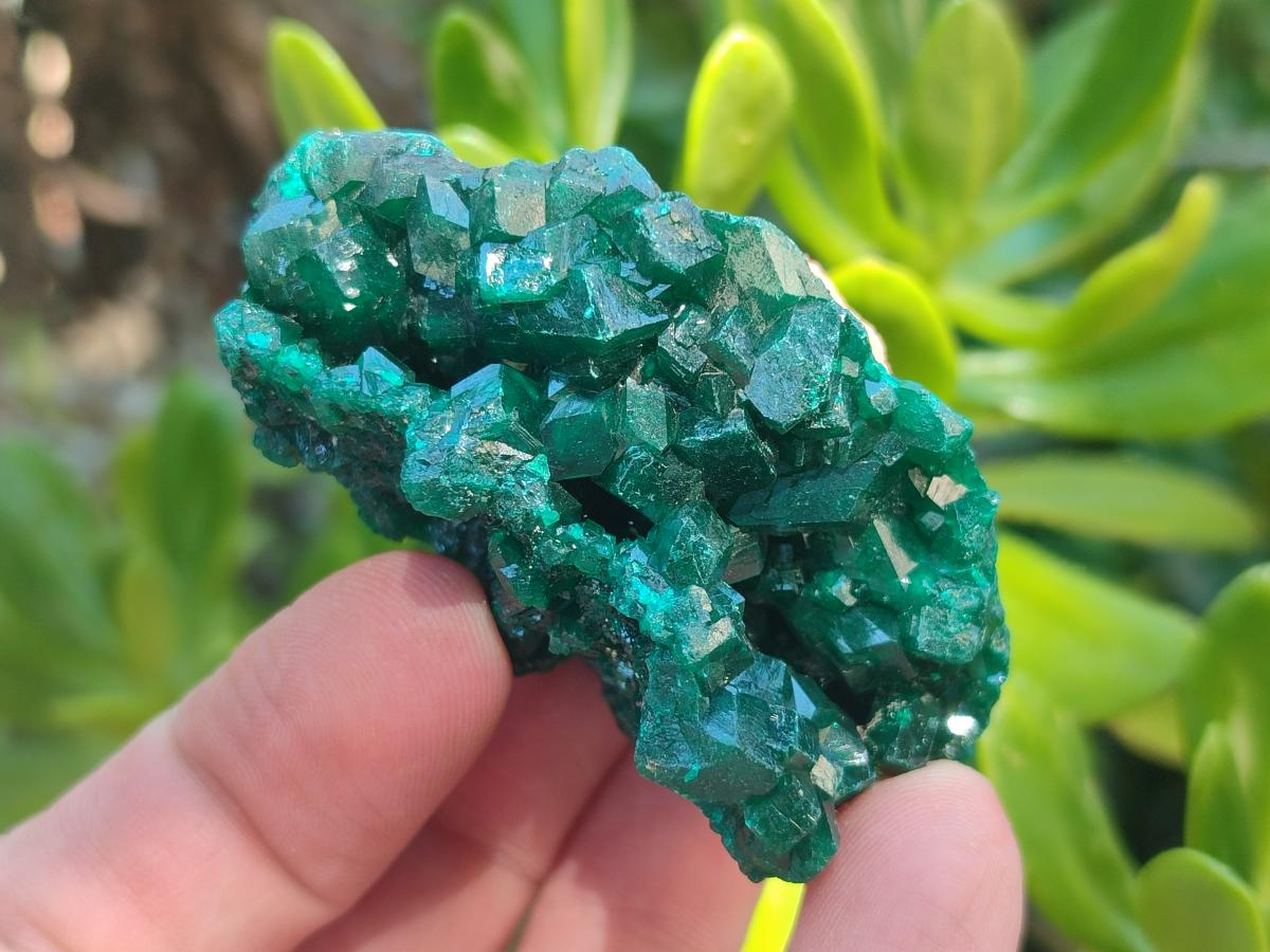 Natural Dioptase Specimens on Dolomite Matrix x 6 From Tantara Mine, Congo - Toprock Gemstones and Minerals 