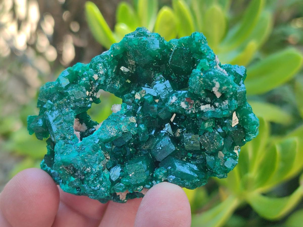 Natural Dioptase Specimens on Dolomite Matrix x 6 From Tantara Mine, Congo - Toprock Gemstones and Minerals 