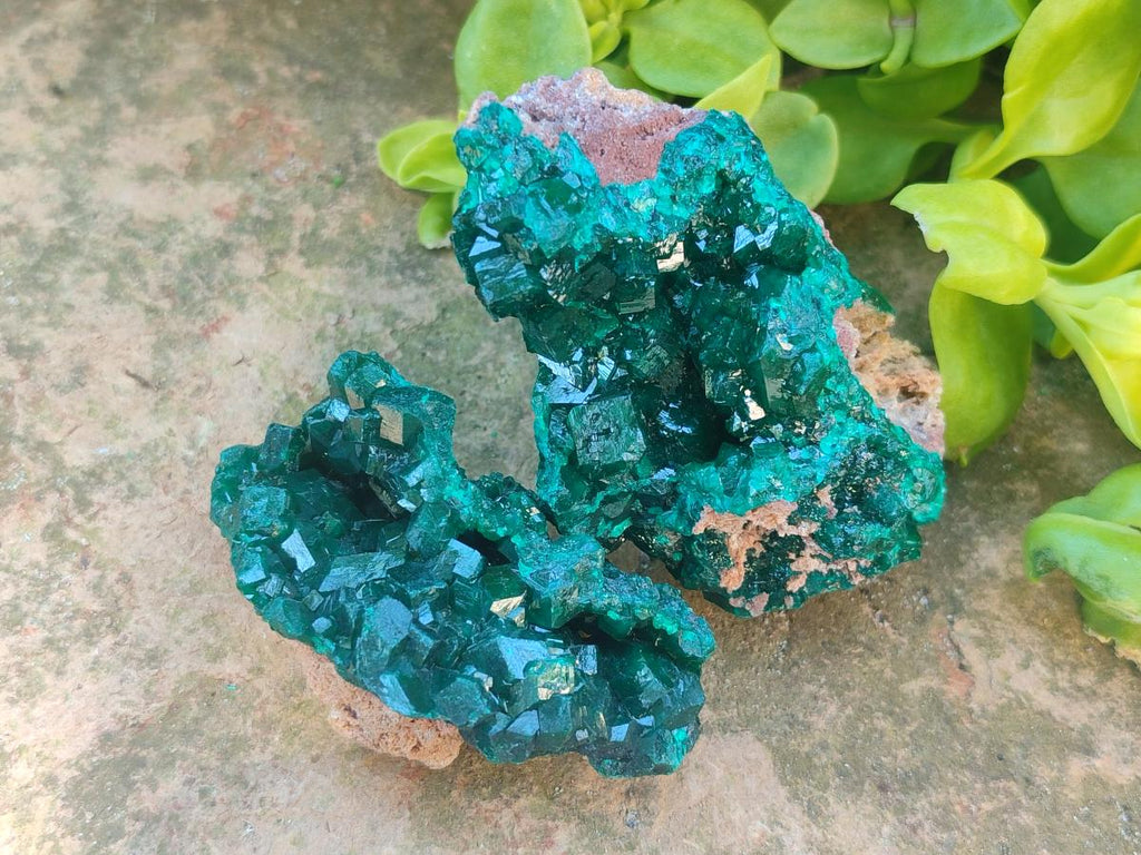 Natural Dioptase Specimens on Dolomite Matrix x 6 From Tantara Mine, Congo - Toprock Gemstones and Minerals 
