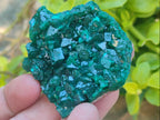 Natural Dioptase Specimens on Dolomite Matrix x 6 From Tantara Mine, Congo - Toprock Gemstones and Minerals 