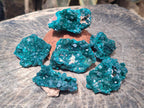 Natural Dioptase Specimens on Dolomite Matrix x 6 From Tantara Mine, Congo - Toprock Gemstones and Minerals 