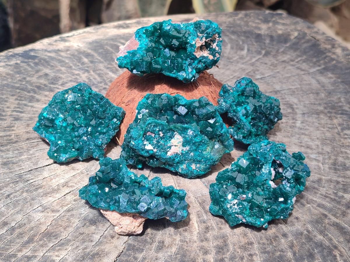 Natural Dioptase Specimens on Dolomite Matrix x 6 From Tantara Mine, Congo - Toprock Gemstones and Minerals 