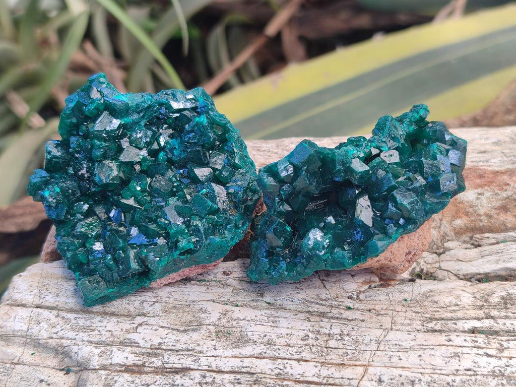 Natural Dioptase Specimens on Dolomite Matrix x 6 From Tantara Mine, Congo - Toprock Gemstones and Minerals 