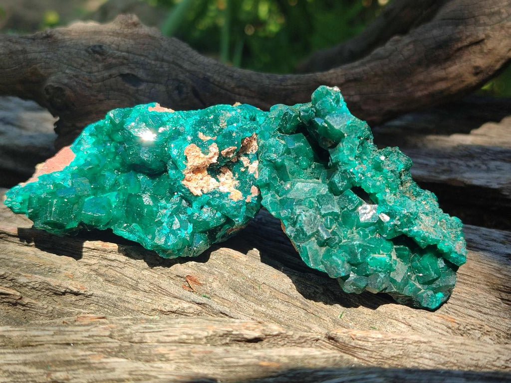 Natural Dioptase Specimens on Dolomite Matrix x 6 From Tantara Mine, Congo - Toprock Gemstones and Minerals 