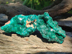 Natural Dioptase Specimens on Dolomite Matrix x 6 From Tantara Mine, Congo - Toprock Gemstones and Minerals 