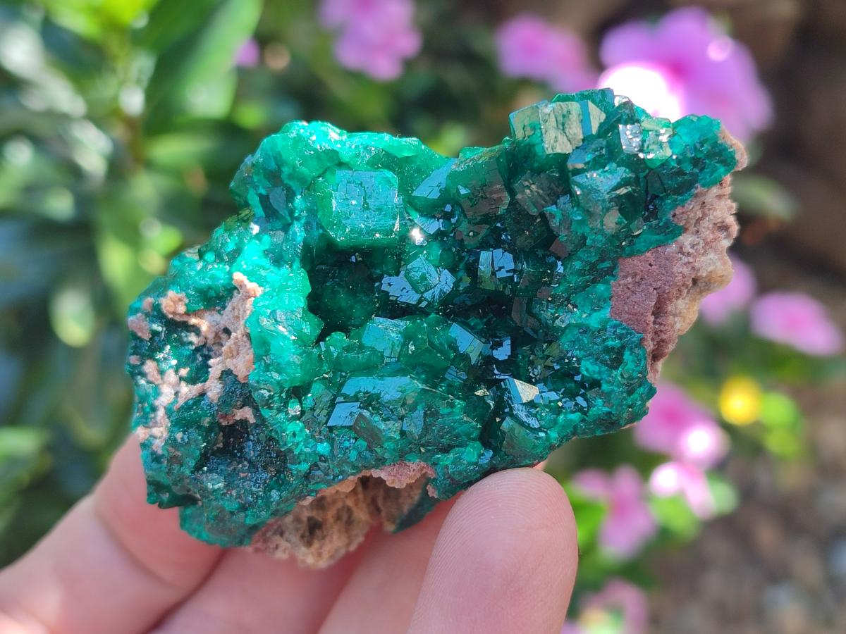 Natural Dioptase Specimens on Dolomite Matrix x 6 From Tantara Mine, Congo - Toprock Gemstones and Minerals 
