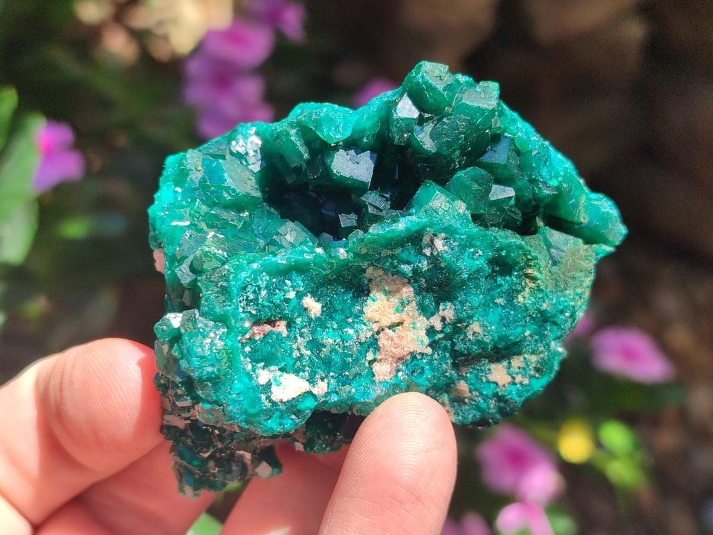 Natural Dioptase Specimens on Dolomite Matrix x 6 From Tantara Mine, Congo - Toprock Gemstones and Minerals 