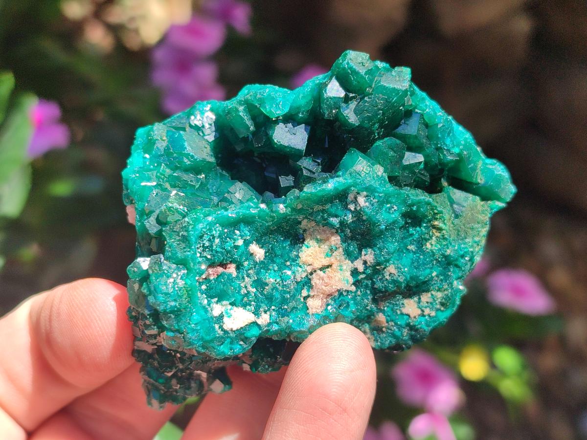 Natural Dioptase Specimens on Dolomite Matrix x 6 From Tantara Mine, Congo - Toprock Gemstones and Minerals 