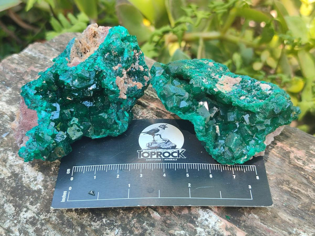Natural Dioptase Specimens on Dolomite Matrix x 6 From Tantara Mine, Congo - Toprock Gemstones and Minerals 