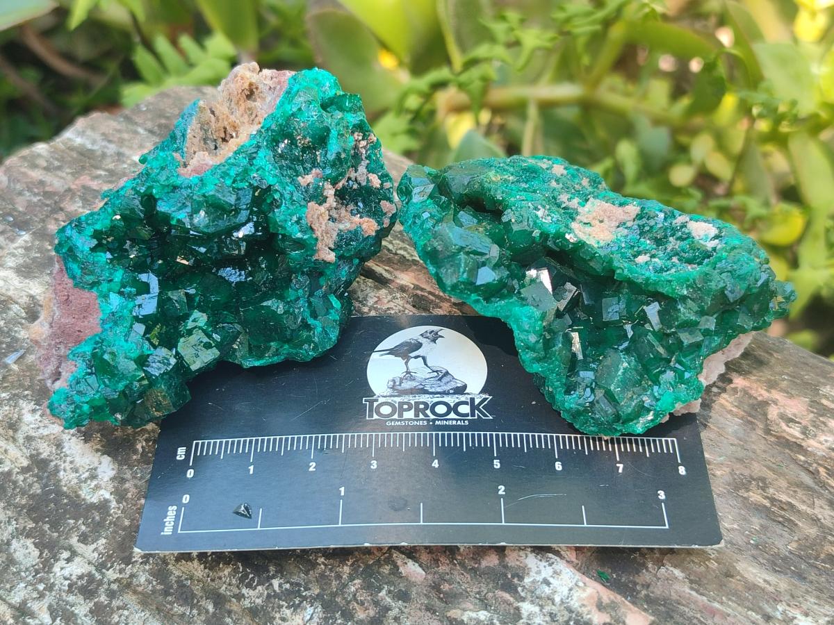 Natural Dioptase Specimens on Dolomite Matrix x 6 From Tantara Mine, Congo - Toprock Gemstones and Minerals 