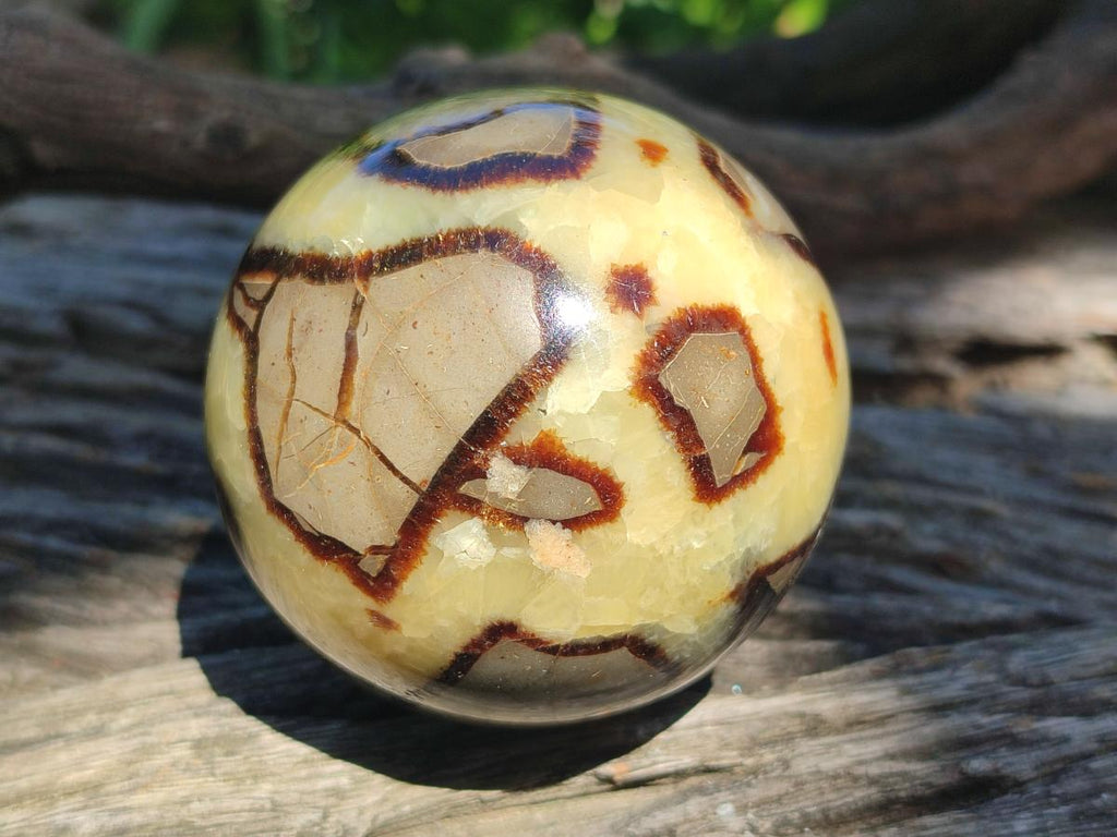 Polished Septerye Spheres x 4 From Mahajanga, Madagascar - Toprock Gemstones and Minerals 