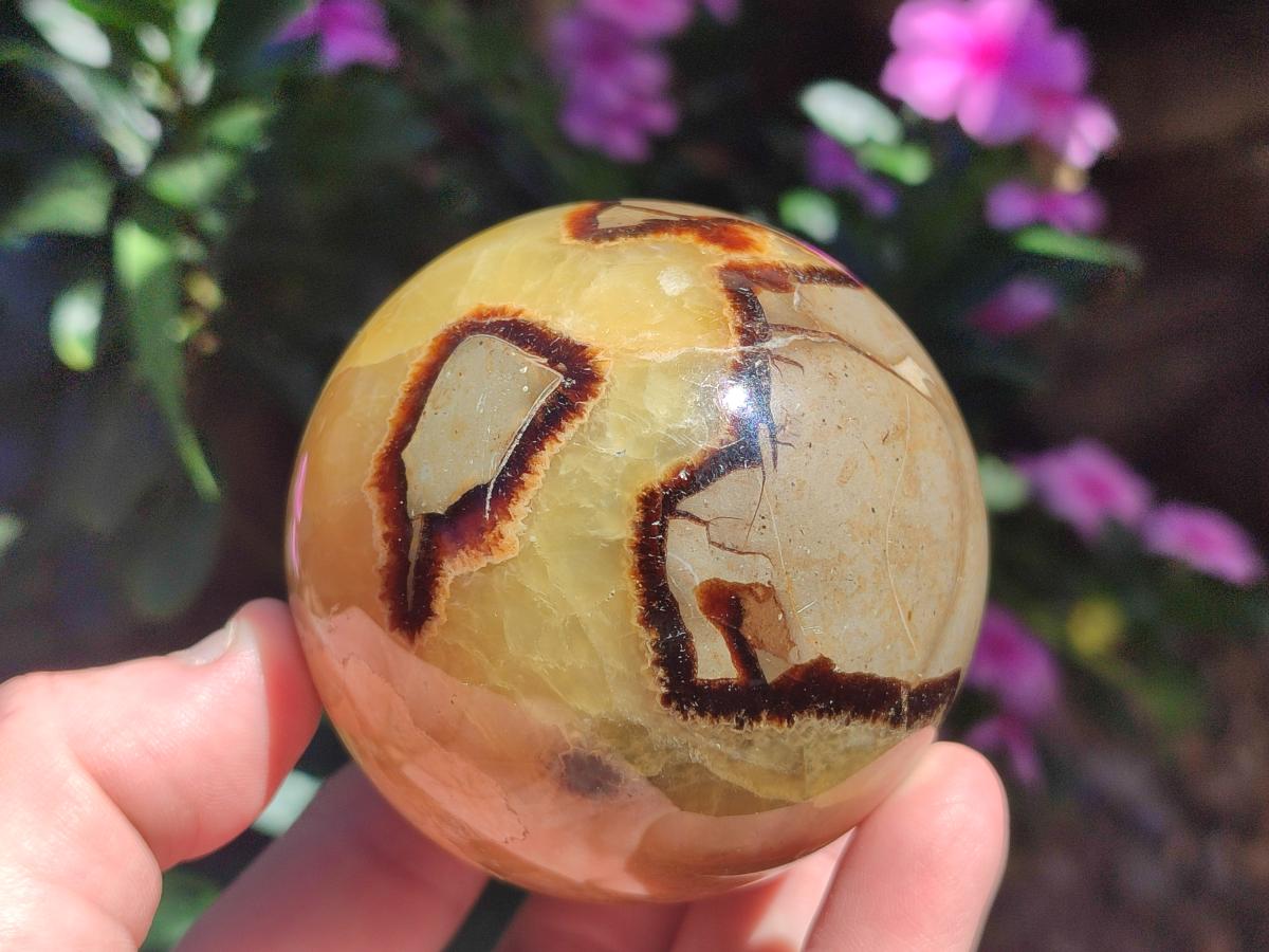 Polished Septerye Spheres x 4 From Mahajanga, Madagascar - Toprock Gemstones and Minerals 