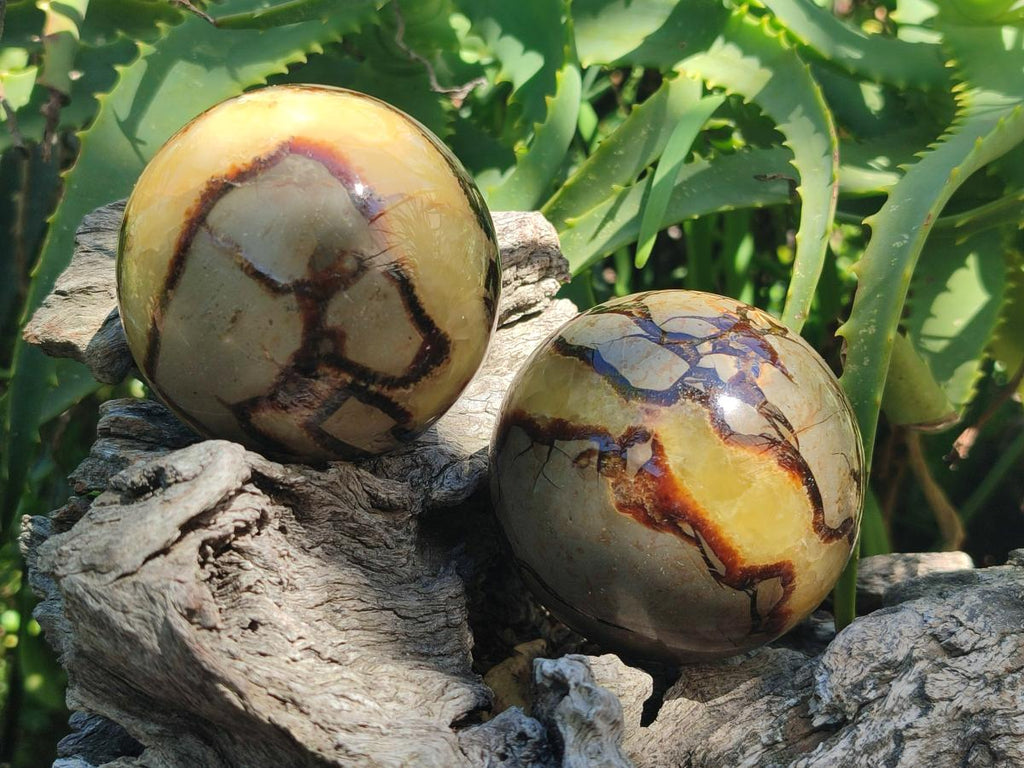Polished Septerye Spheres x 4 From Mahajanga, Madagascar - Toprock Gemstones and Minerals 