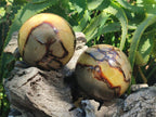 Polished Septerye Spheres x 4 From Mahajanga, Madagascar - Toprock Gemstones and Minerals 
