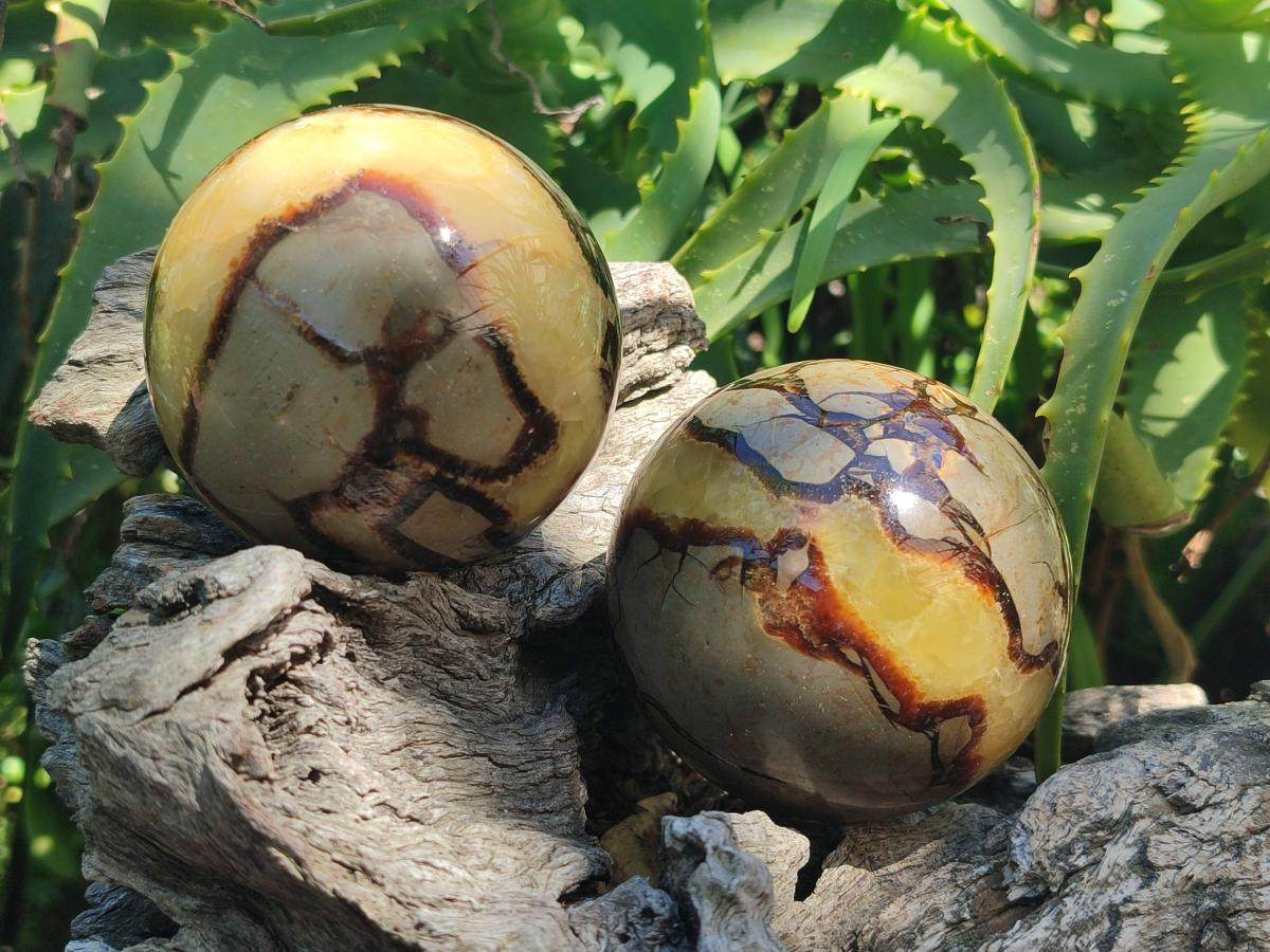 Polished Septerye Spheres x 4 From Mahajanga, Madagascar - Toprock Gemstones and Minerals 