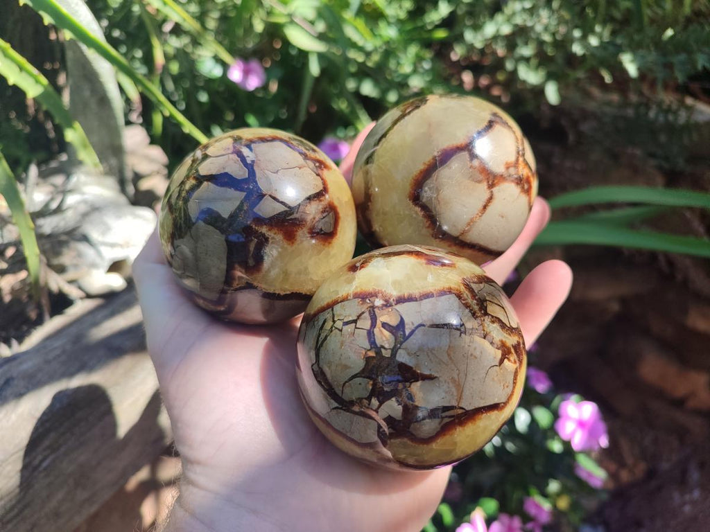 Polished Septerye Spheres x 4 From Mahajanga, Madagascar - Toprock Gemstones and Minerals 