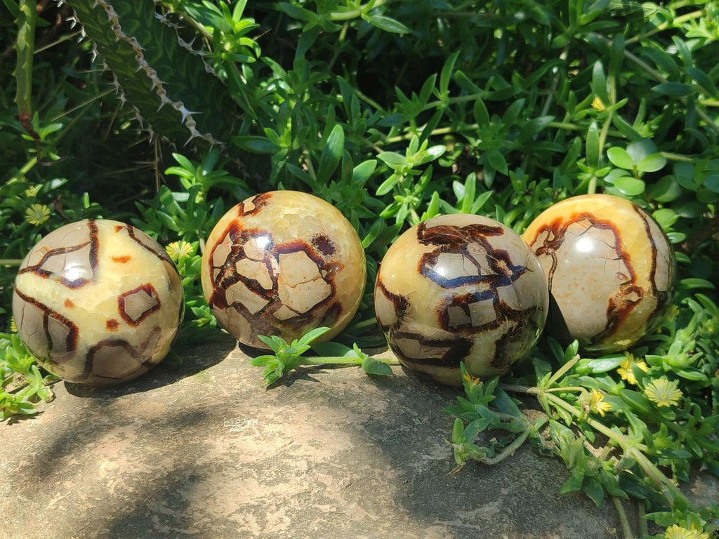 Polished Septerye Spheres x 4 From Mahajanga, Madagascar - Toprock Gemstones and Minerals 