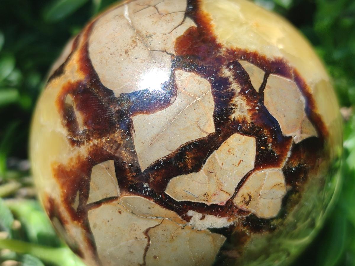 Polished Septerye Spheres x 4 From Mahajanga, Madagascar - Toprock Gemstones and Minerals 