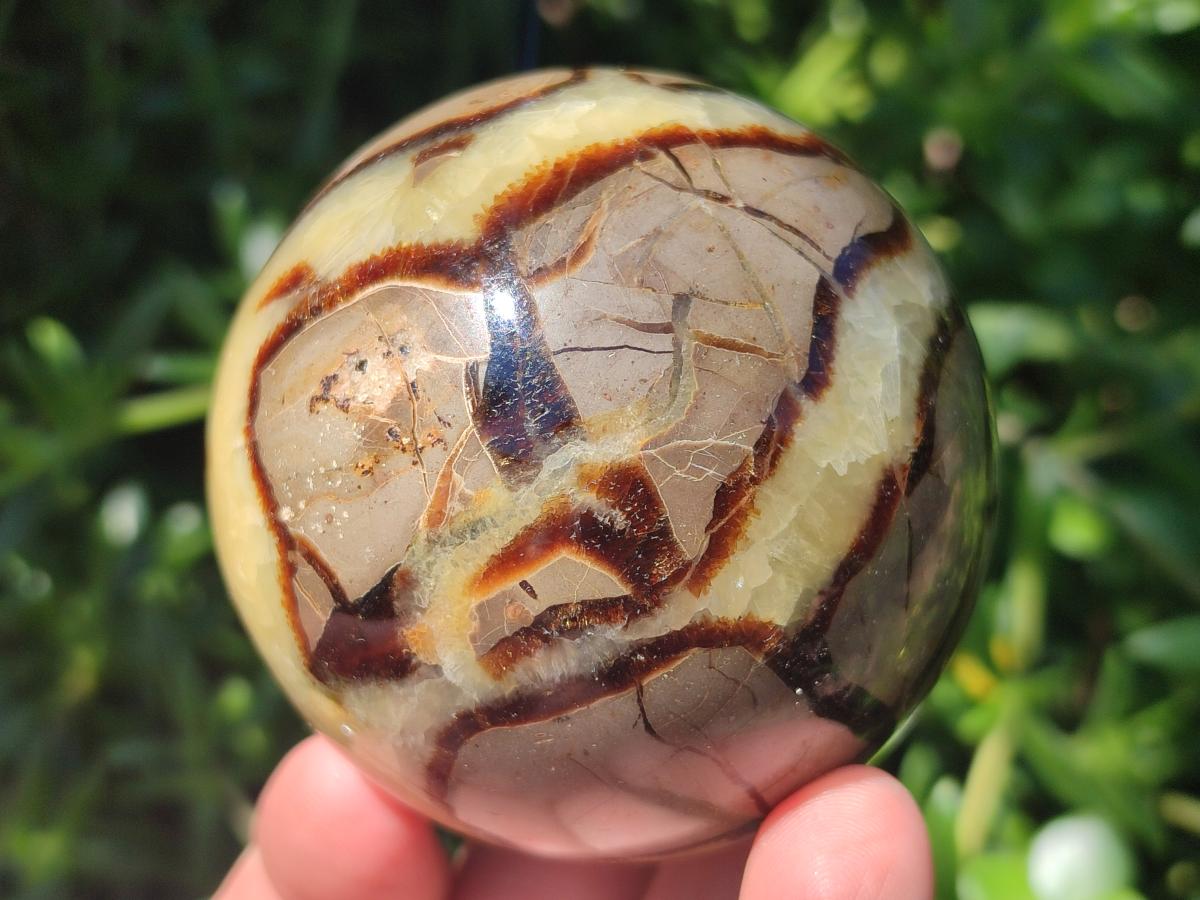 Polished Septerye Spheres x 4 From Mahajanga, Madagascar - Toprock Gemstones and Minerals 