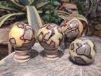 Polished Septerye Spheres x 4 From Mahajanga, Madagascar - Toprock Gemstones and Minerals 