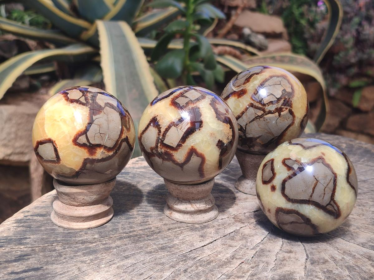 Polished Septerye Spheres x 4 From Mahajanga, Madagascar - Toprock Gemstones and Minerals 