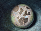 Polished Septerye Spheres x 4 From Mahajanga, Madagascar - Toprock Gemstones and Minerals 