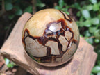 Polished Septerye Spheres x 4 From Mahajanga, Madagascar - Toprock Gemstones and Minerals 