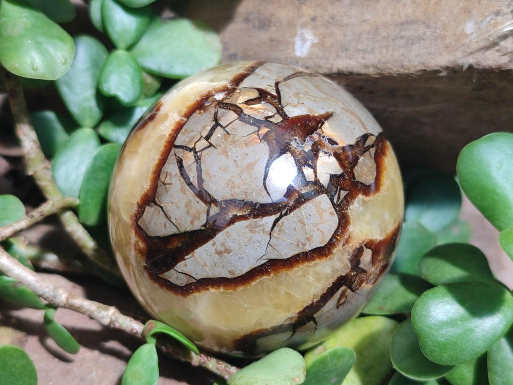 Polished Septerye Spheres x 4 From Mahajanga, Madagascar - Toprock Gemstones and Minerals 