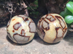 Polished Septerye Spheres x 4 From Mahajanga, Madagascar - Toprock Gemstones and Minerals 