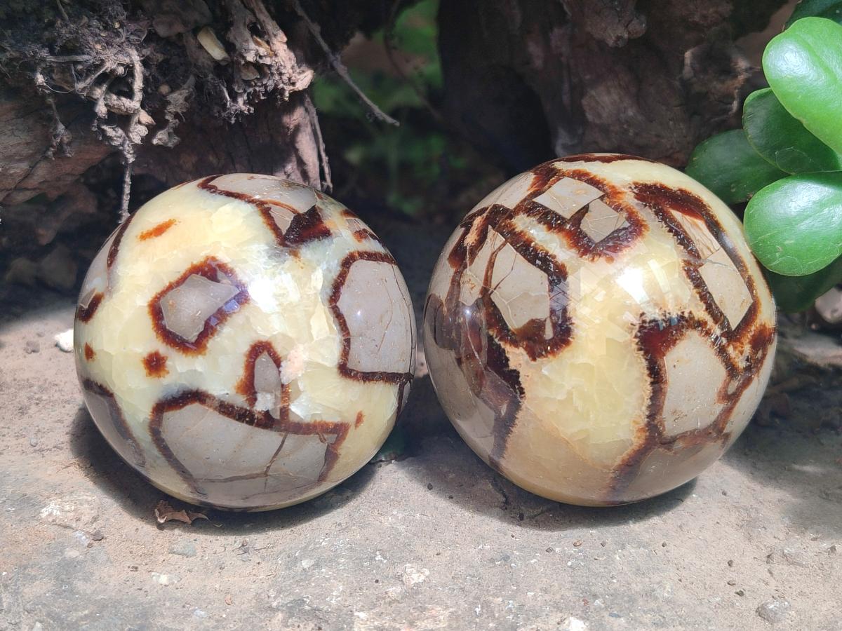 Polished Septerye Spheres x 4 From Mahajanga, Madagascar - Toprock Gemstones and Minerals 
